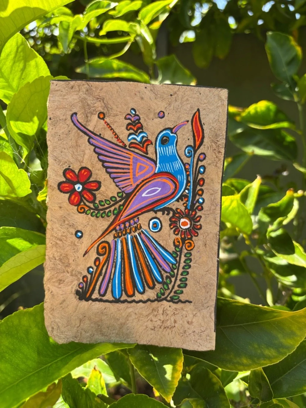 Hand-Painted Folk Art Animal Panels - Colorful Bird & Fox Motifs from Guatemala - Picture 3 of 11